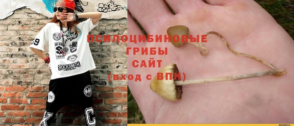прущая мука Дмитровск