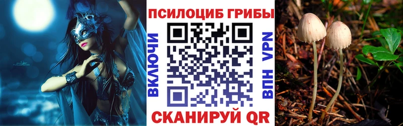 Псилоцибиновые грибы Cubensis  Купить  Балтийск 